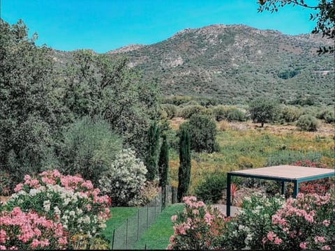 Garden, Mountain view