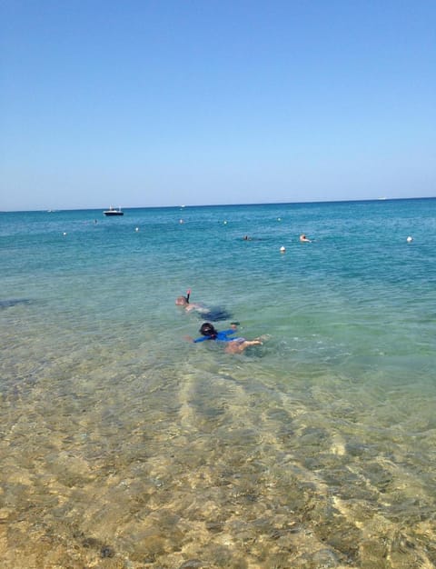 Natural landscape, Beach