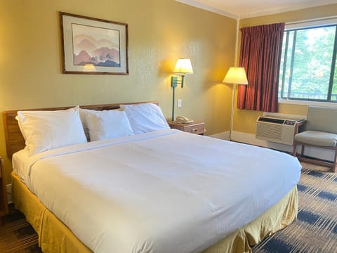 Smokies Inn - New Linens & Ultrafast WIFI - Friendliest Hospitality Guaranteed! Motel in Sevierville