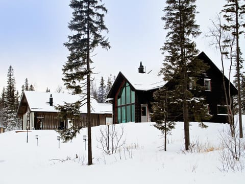 Ottsjö Bear Lodge Villa in Sweden