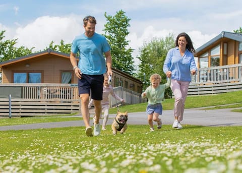 Ladys Mile Holiday Park Terrain de camping /
station de camping-car in Dawlish