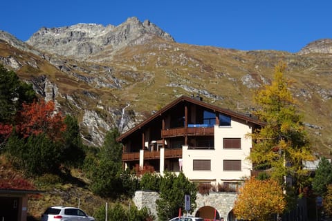 Facade/entrance, Mountain view
