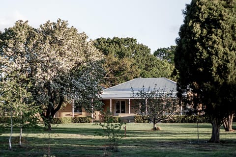 Property building, Garden, Garden view