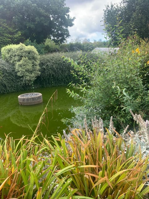 Natural landscape, Garden