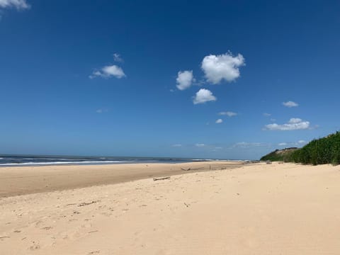 View (from property/room), Beach