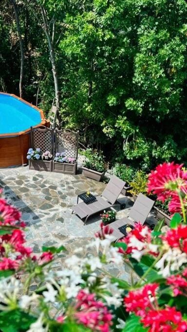 Patio, Garden, Swimming pool