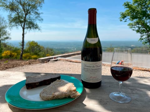 Bienvenue au Mas du Roulier, villa provençale avec vue hypnotique sur la chaine des Puys Villa in Thiers