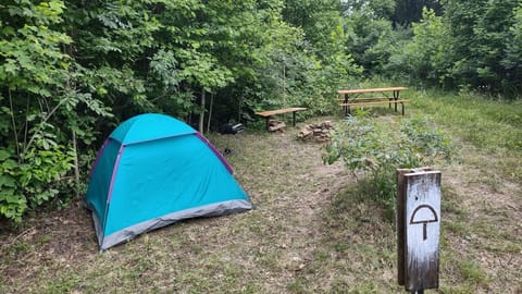 Camp Shroom Hocking Hills Parque de campismo /
caravanismo in Perry Township