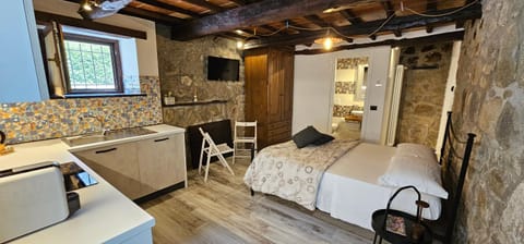 Il Gaudente B&B Bed and Breakfast in Santa Fiora