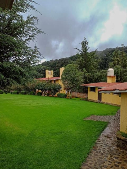 Property building, Garden view