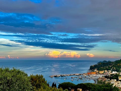 Natural landscape, Sea view