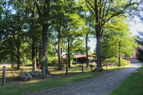 Natural landscape, Garden