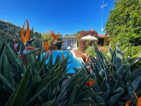 Day, Garden, Garden view, Pool view, Swimming pool