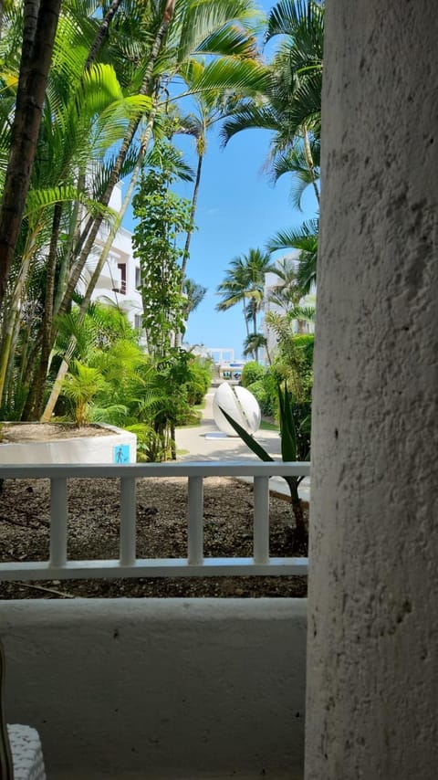 Cabarete Kite Beach Rooms & Condos Apartment in Cabarete