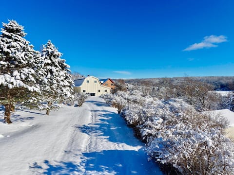 Ischua Ridge Ellicottville Private Resort. Ski, Explore, Rest! Chalet in Cattaraugus