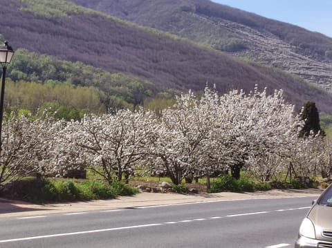 Spring, Neighbourhood, Natural landscape, Parking