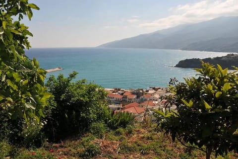 Natural landscape, Garden view, Sea view