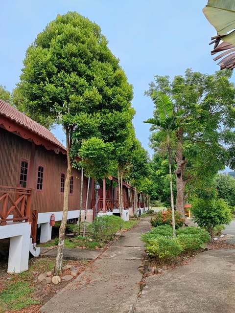 Property building, Garden, Garden view