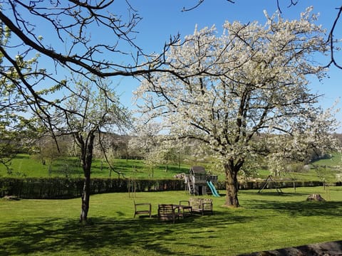Spring, Garden, On site, Garden view, Mountain view