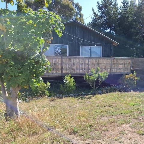 Property building, Spring, Day, Garden, Garden view