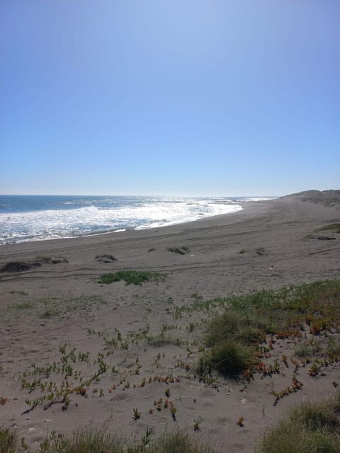 Natural landscape, Beach