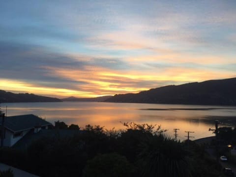 Otago Peninsula Paradise Bed and Breakfast in Dunedin