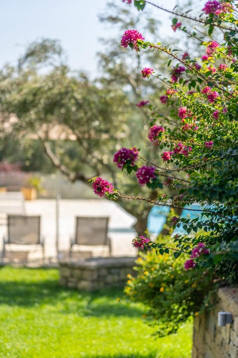 Garden, Swimming pool