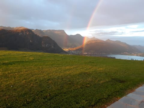 Lake view