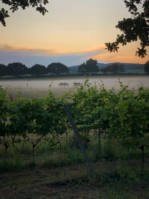 Coasters Hideaway boutique Glamping Luxury tent in Skåne County