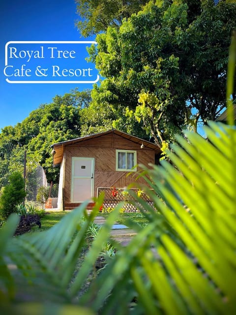 Royal Tree Cafe And Resort Hotel in Dehradun