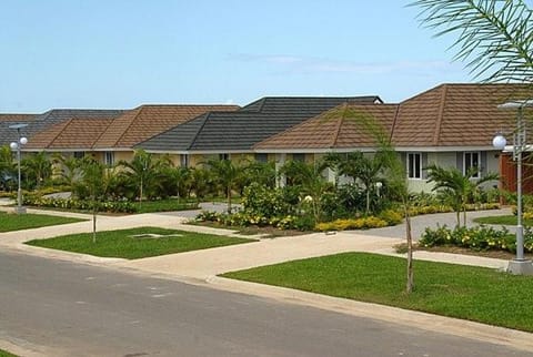 Neighbourhood, Natural landscape, Garden, Street view