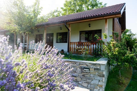 Property building, Garden view