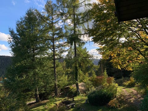 Chalet « à l’orée du bois » Chalet in Gérardmer