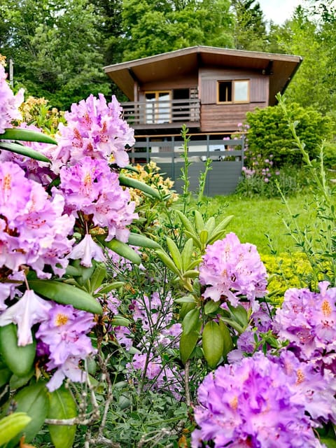 Chalet « à l’orée du bois » Chalet in Gérardmer