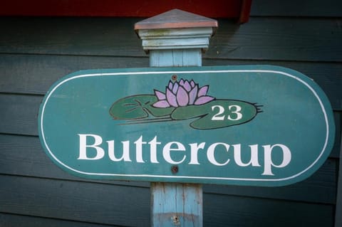 Buttercup Cottage House in Flat Rock