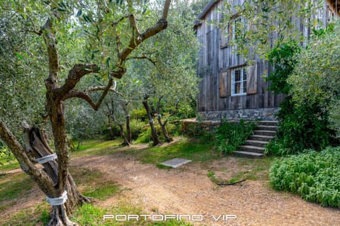 Property building, Garden view