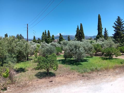 Anima Apartment in Lefkada