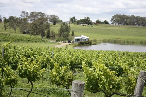 Natural landscape, Lake view