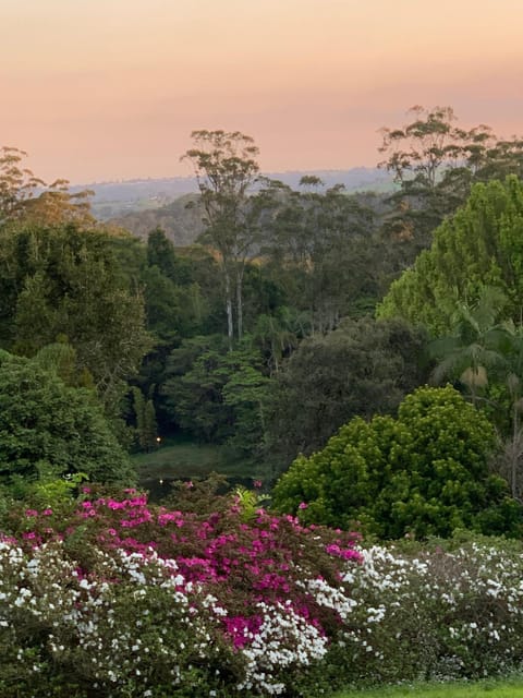 Natural landscape, Garden view