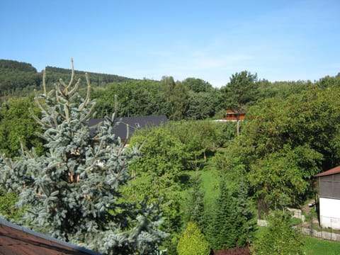 Privat Apartma Ulrych Bed and Breakfast in Saxony