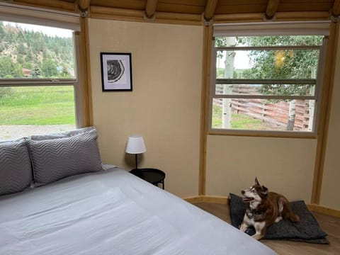 Lodgepole Yurt at Aspen Ridge Cabins House in South Fork