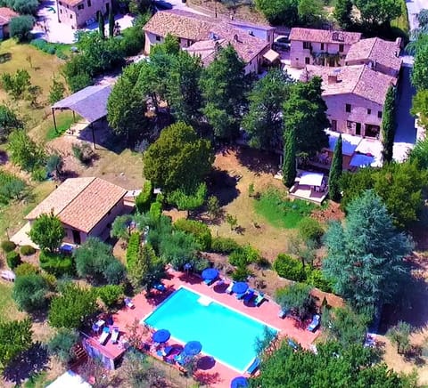 Bird's eye view, Pool view