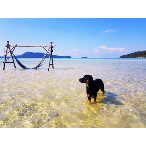 Mangrove Beach Bungalows Nature lodge in Sihanoukville