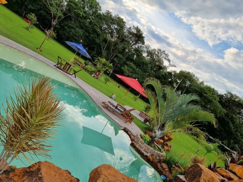 Garden, Garden view, Swimming pool