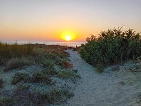 Natural landscape, Beach, Sea view, Sunset