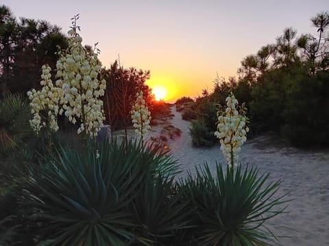 Accesso diretto sul mare MarediluceCala Condominio in Livorno