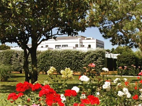 Spring, Natural landscape, Summer, Tennis court, On site, Garden view, Sports