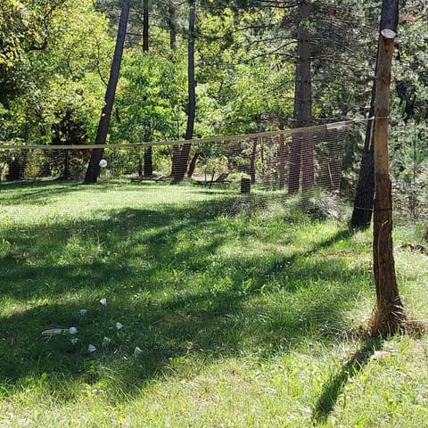 Garden, Garden view