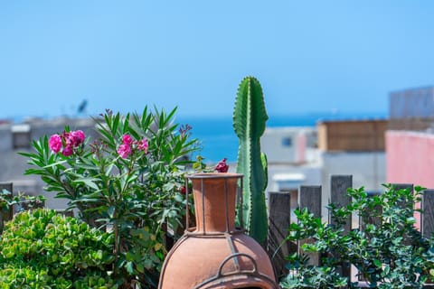 Garden, Sea view