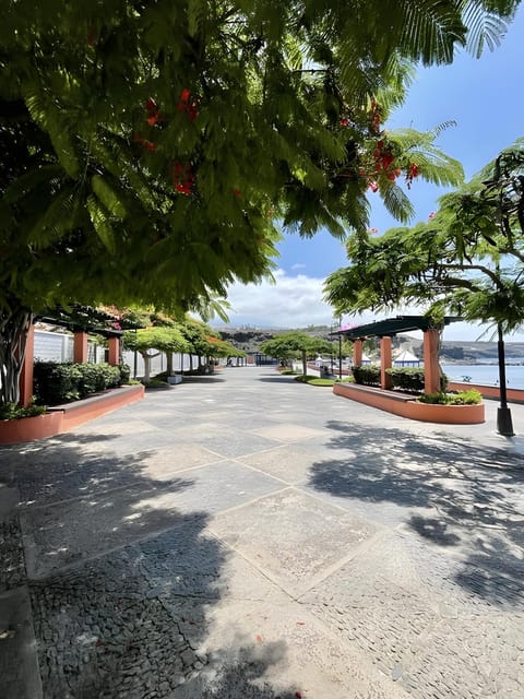 Isla Bonita San Juan Beach Apartment in Playa San Juan